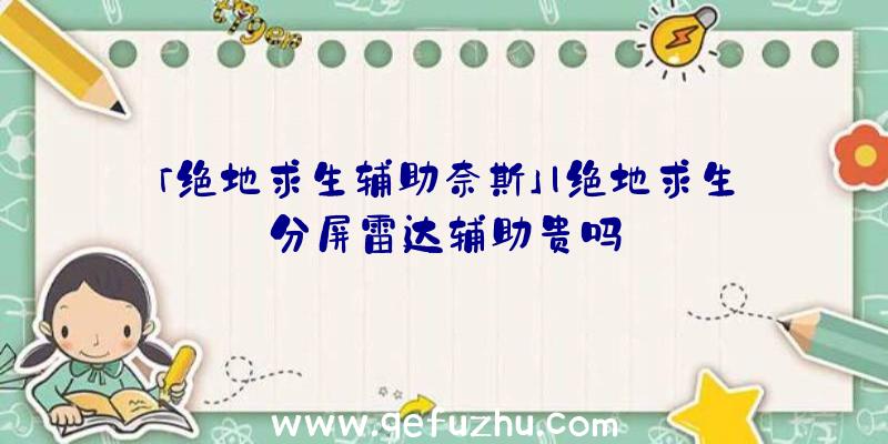 「绝地求生辅助奈斯」|绝地求生分屏雷达辅助贵吗